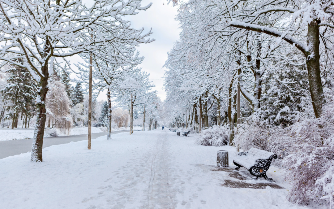 ‘February Four’ the start of an active weather month